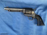 COLT SAA
5 1/2