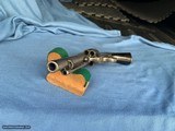 COLT SAA
5 1/2