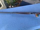 WINCHESTER MODEL 1901 10 GAUGE - 19 of 25