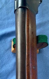 WINCHESTER MODEL 1901 10 GAUGE - 23 of 25