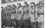 ITALIAN MILITARY GLISENTI MODEL 1910 - 14 of 14