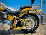 HARLEY DAVIDSON SCREAMING “ SPECIAL EDITION “ - 15 of 18