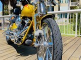 HARLEY DAVIDSON SCREAMING “ SPECIAL EDITION “ - 8 of 18