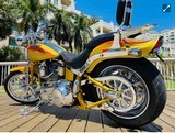 HARLEY DAVIDSON SCREAMING “ SPECIAL EDITION “ - 13 of 18