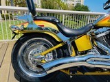 HARLEY DAVIDSON SCREAMING “ SPECIAL EDITION “ - 5 of 18