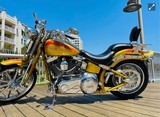 HARLEY DAVIDSON SCREAMING “ SPECIAL EDITION “ - 1 of 18
