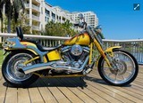 HARLEY DAVIDSON SCREAMING “ SPECIAL EDITION “ - 2 of 18