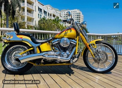 HARLEY DAVIDSON SCREAMING “ SPECIAL EDITION “ - Image 2 of 13