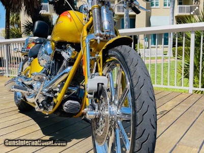 HARLEY DAVIDSON SCREAMING “ SPECIAL EDITION “ - Image 6 of 13