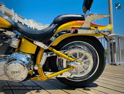 HARLEY DAVIDSON SCREAMING “ SPECIAL EDITION “ - Image 13 of 13
