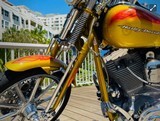 HARLEY DAVIDSON SCREAMING “ SPECIAL EDITION “ - 17 of 18