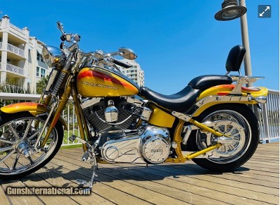 HARLEY DAVIDSON SCREAMING “ SPECIAL EDITION “ - Image 10 of 13