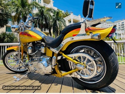 HARLEY DAVIDSON SCREAMING “ SPECIAL EDITION “ - Image 11 of 13