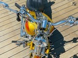 HARLEY DAVIDSON SCREAMING “ SPECIAL EDITION “ - 10 of 18