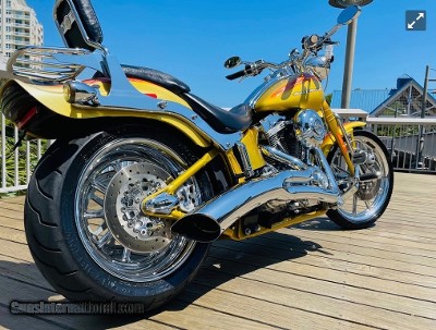 HARLEY DAVIDSON SCREAMING “ SPECIAL EDITION “ - Image 3 of 13