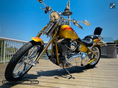 HARLEY DAVIDSON SCREAMING “ SPECIAL EDITION “ - Image 9 of 13