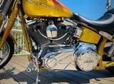 HARLEY DAVIDSON SCREAMING “ SPECIAL EDITION “ - 16 of 18