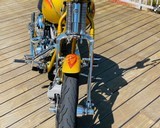 HARLEY DAVIDSON SCREAMING “ SPECIAL EDITION “ - 9 of 18