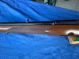 WINCHESTER MODEL 88 - STUNNING EXAMPLE !!!!! - 5 of 21