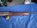 WINCHESTER MODEL 88 - STUNNING EXAMPLE !!!!! - 10 of 21
