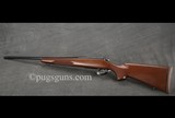 Remington 700 Classic--250 Savage - 4 of 4