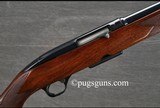Winchester 100 - 1 of 6
