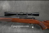 Winchester Model 70 Varmint - 4 of 8