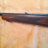 Winchester Model 88 Pre-64 243 - 6 of 7