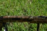 Mossberg 500 Turkey Thugs Camouflage - 3 of 6