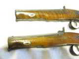 BELGIAN OFFICERS PERCUSSION PISTOLS
(a PAIR) - 9 of 15