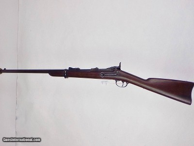 Springfield Model 1873 SRC