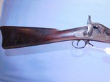 Springfield Model 1884 - 6 of 7