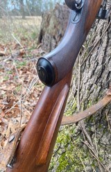 Ernst Steigleder 8x60mmS - 15 of 15