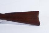 Model 1884 Trapdoor Carbine - 6 of 13