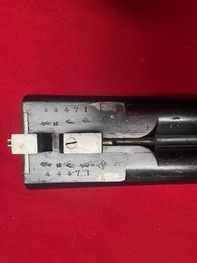 Webley& Scott 12 Gauge #44xxx - Image 14 of 15