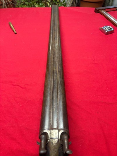 Six Bore Double Percussion Gun - Image 7 of 14
