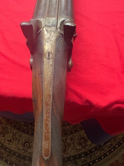 Six Bore Double Percussion Gun - Image 8 of 14