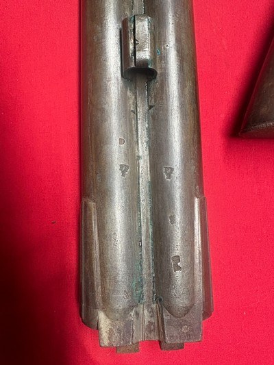 Six Bore Double Percussion Gun - Image 14 of 14