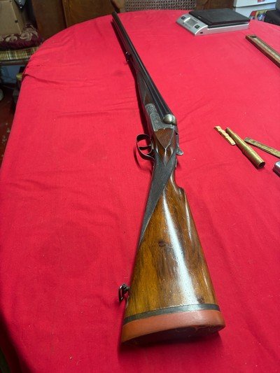 J.P. Sauer Prussian 12 Gauge 30