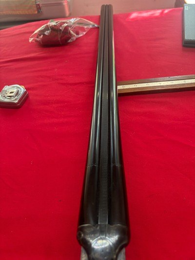 CZ 20 Gauge Bob White 28