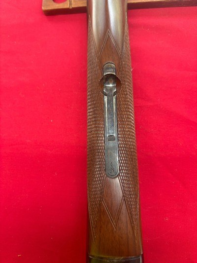 CZ 20 Gauge Bob White 28
