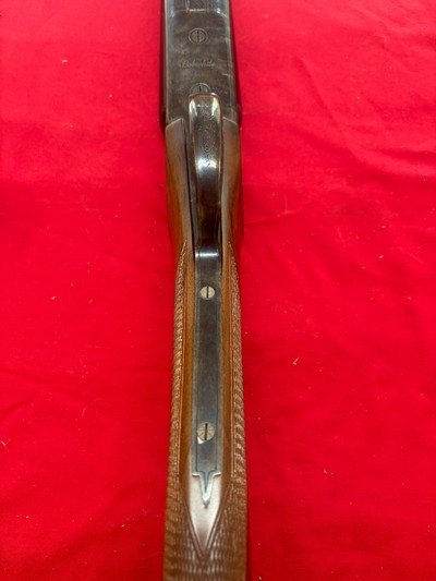 CZ 20 Gauge Bob White 28