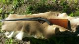 Alexander henry double rifle 450 bpe - 4 of 4