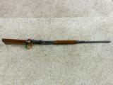 Winchester Model 71 Standard Grade Rifle - 7 of 13