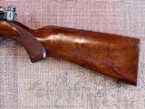 Winchester Model 75 Sporting 22 Bolt Action Rifle - 7 of 13