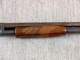 Winchester Model 12 - 20 Gauge Pidgeon Grade Engraved In The Number 3 Pattern - 8 of 18