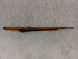 German 98 K Rifle dou Code 1944 Production All Matching In Near Unissued Condition - 15 of 19