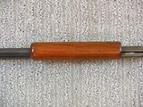 Marlin Arms Co. Model 25 22 Rim Fire Pump Rifle - 20 of 21
