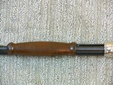 Winchester Half Nickel Finish Model 1906 Expert - 18 of 24