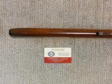 Winchester Model 36 Bolt Action 9 M/M Rim Fire Shotgun - 16 of 19